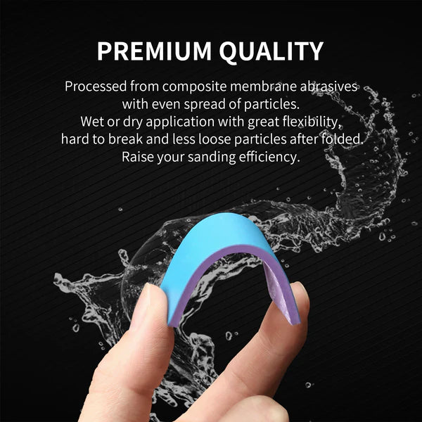 DS3-S01 Reusable Abrasive Sponge