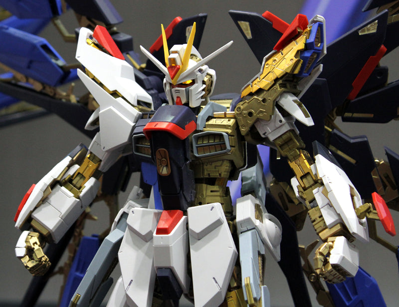 PG 1/60 Strike Freedom Gundam