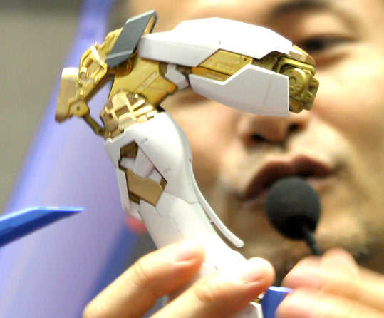 PG 1/60 Strike Freedom Gundam