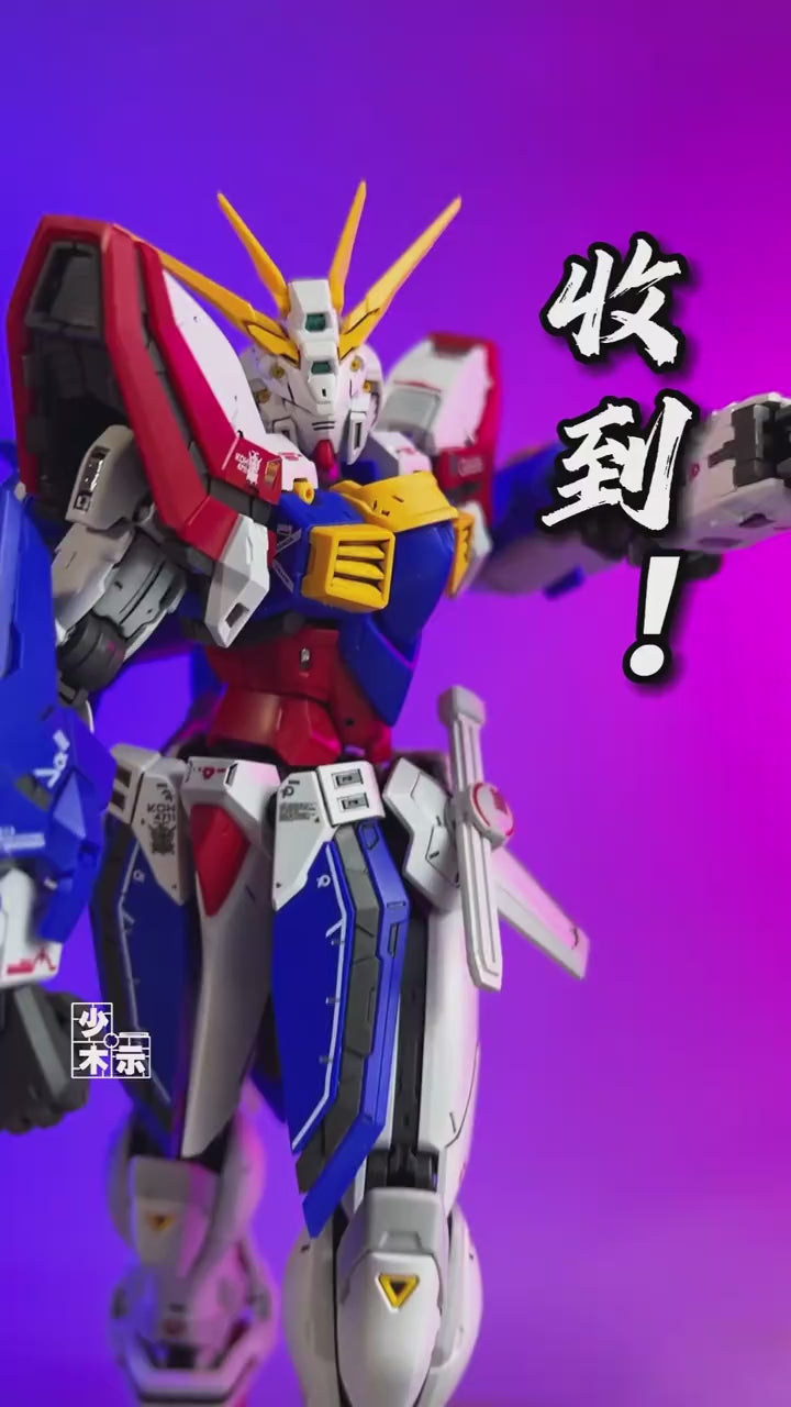 Fat Cat - 1/100 God Gundam